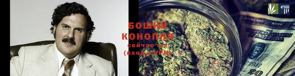 трава Аркадак