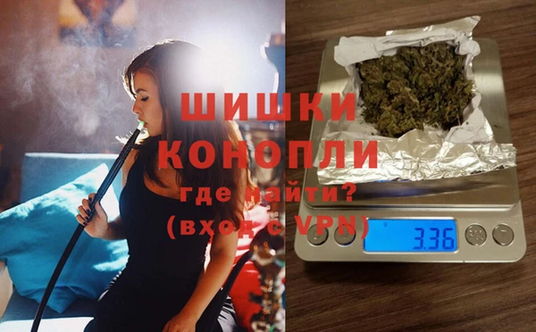трава Аркадак