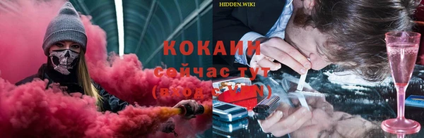 трава Аркадак