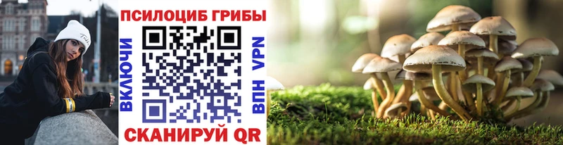 Галлюциногенные грибы GOLDEN TEACHER  Купить закладки  Сунжа 